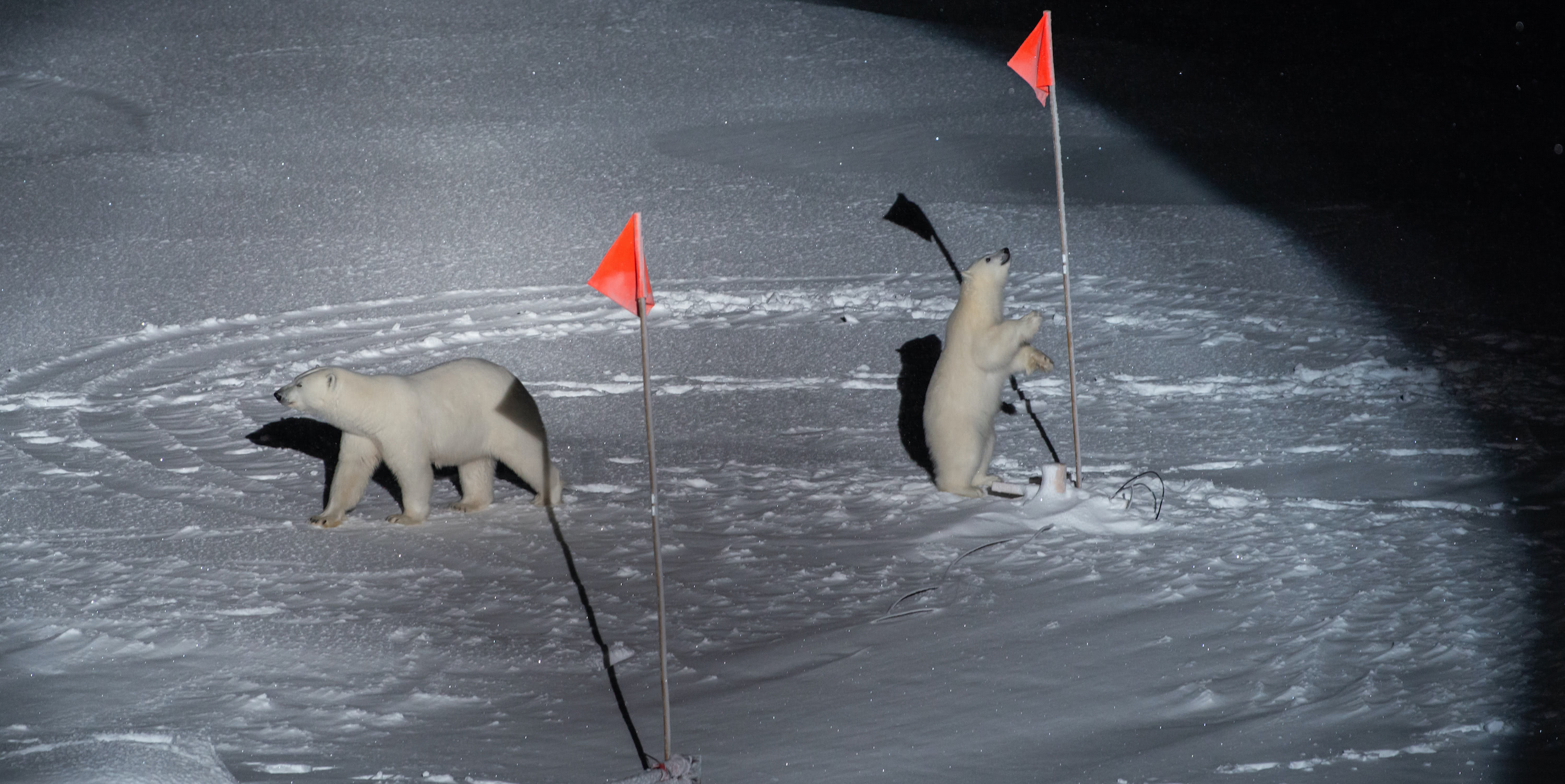 Ohuhu Illustration Contest 2021 Popular In The World Ohuhu A Brand That Mainly Handles Art Supplies And Miscellaneous Goods Is Looking For Works On Official Twitter With The Theme Of Summer Event